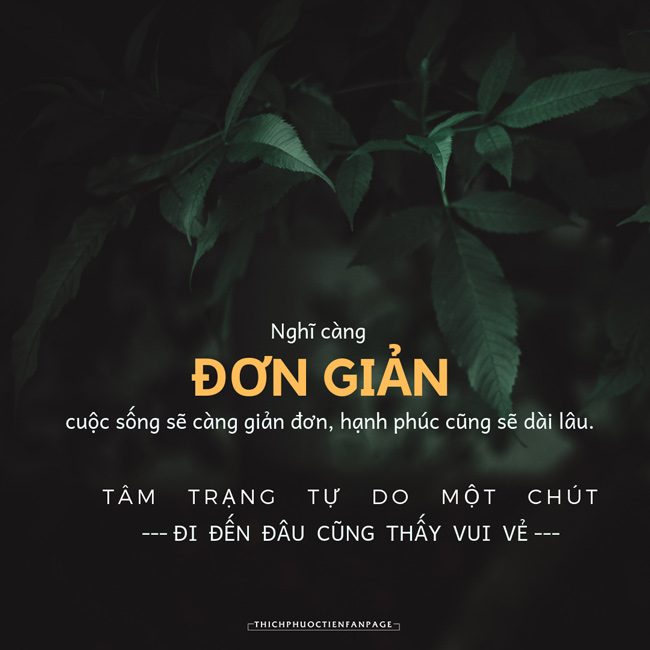 STT Sống Đơn Giản: Hạnh phúc đến từ sự giản dị Gallery 1