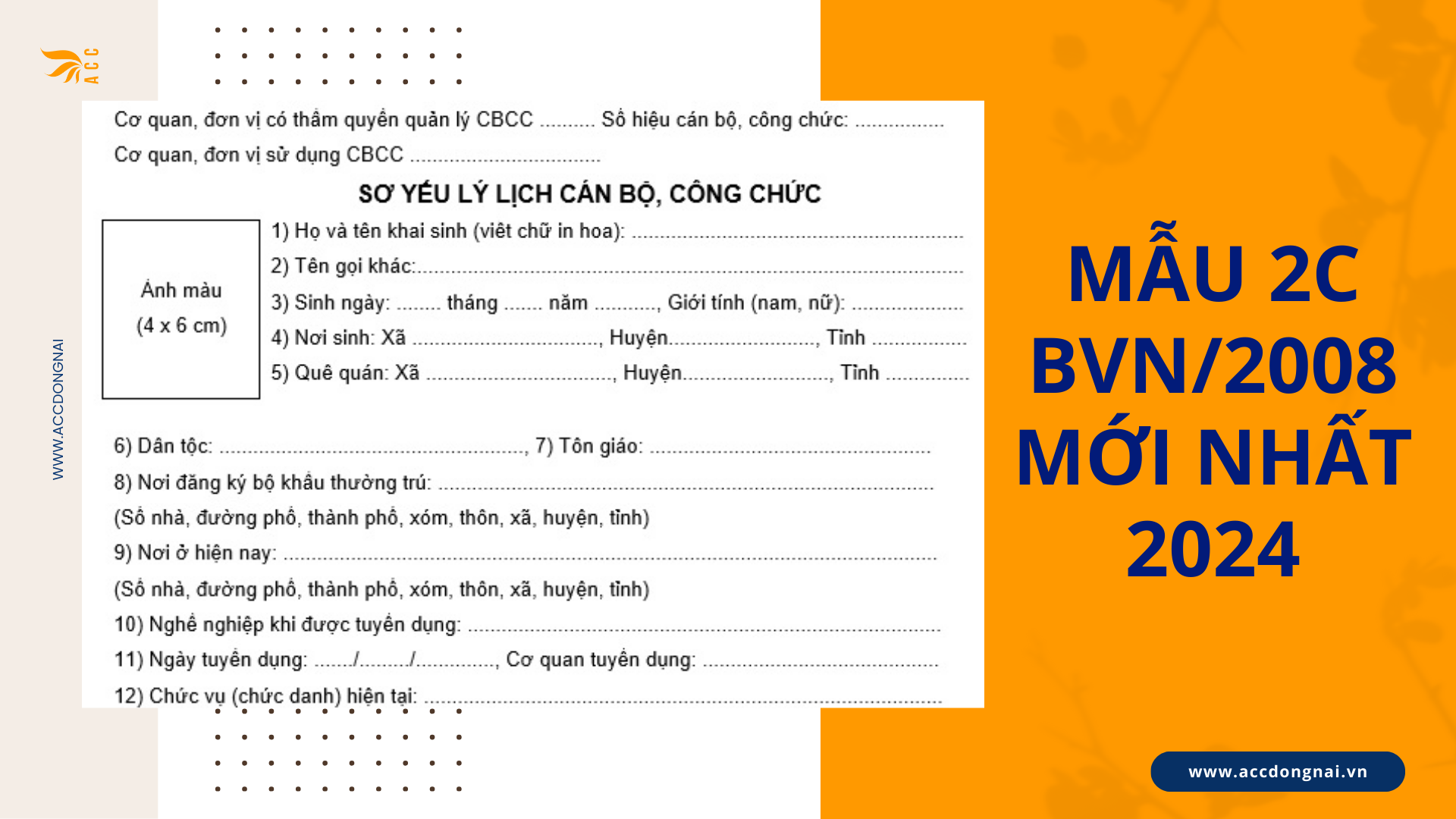 Mẫu Lý Lịch 2C Mới Nhất Gallery 1