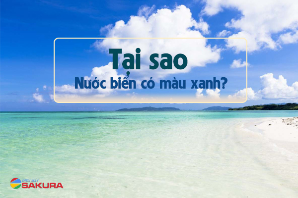 Nước Biển Màu Gì? Gallery 1