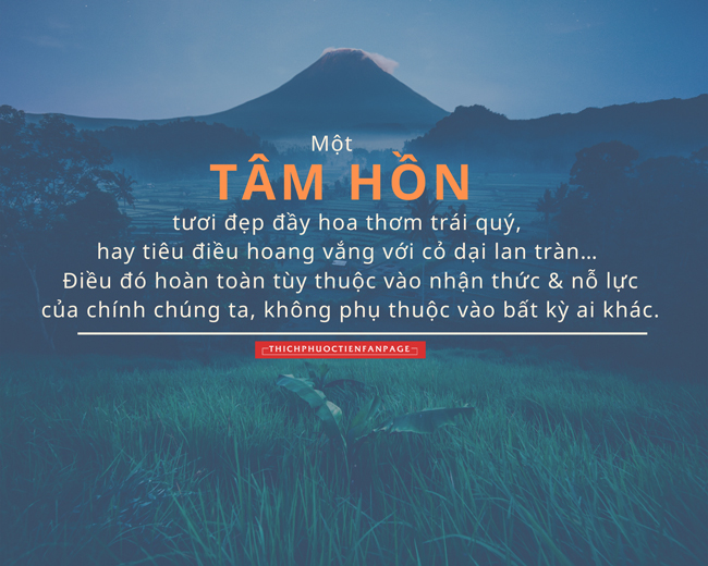 Những Câu Nói Hay Về Nuôi Dưỡng Tâm Hồn Gallery 1