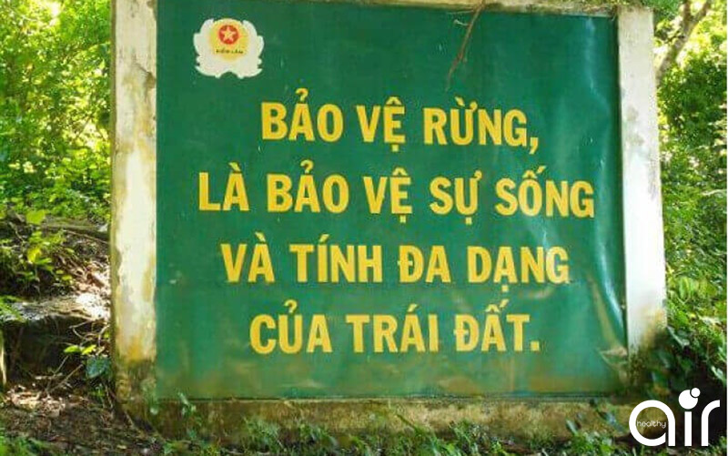 Khẩu hiệu hay về bảo vệ rừng Gallery 1