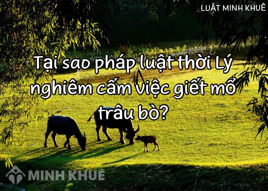 Tại sao pháp luật thời Lý nghiêm cấm giết mổ trâu bò?