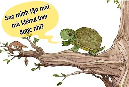 Rùa Học Bay: Chuyện Phi Thường Của Loài Bò Sát Gallery 1