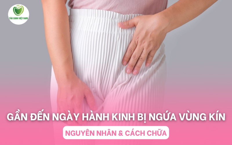 Tại Sao Sắp Đến Tháng Lại Bị Ngứa Vùng Kín?