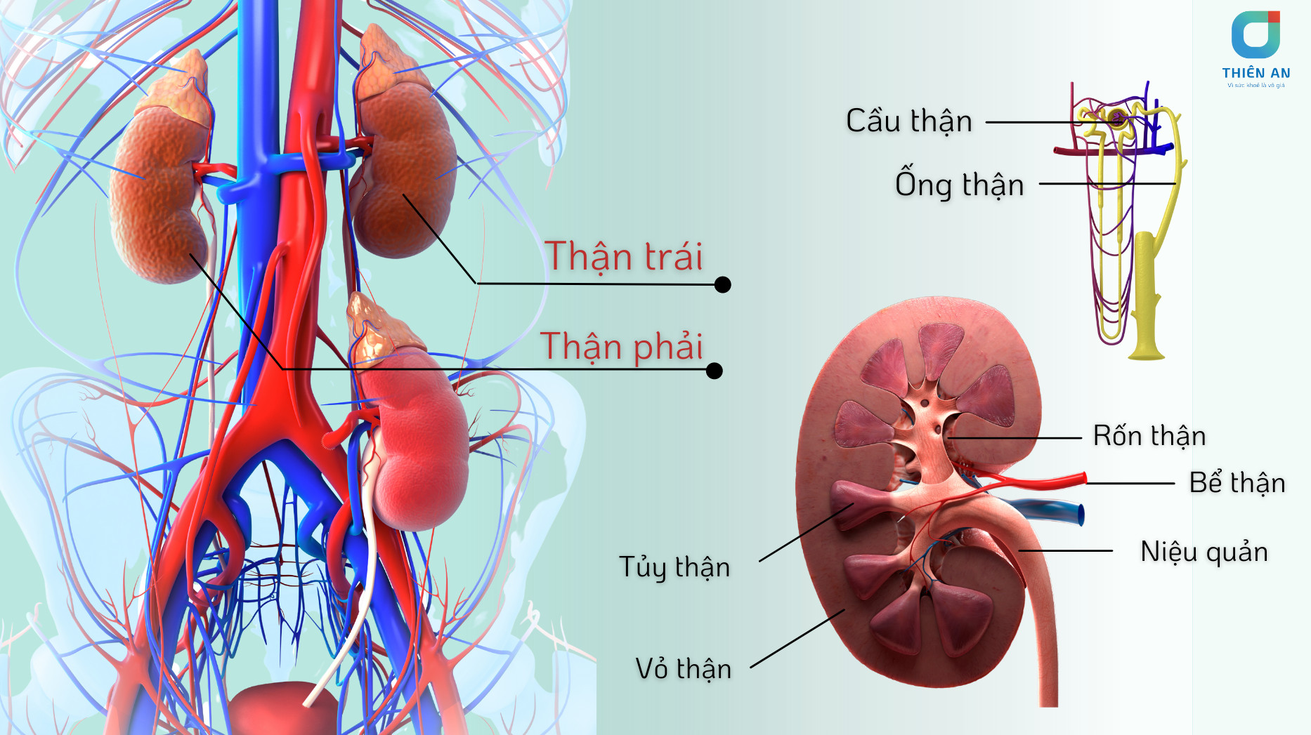 Thận Trọng Là Gì? Gallery 2