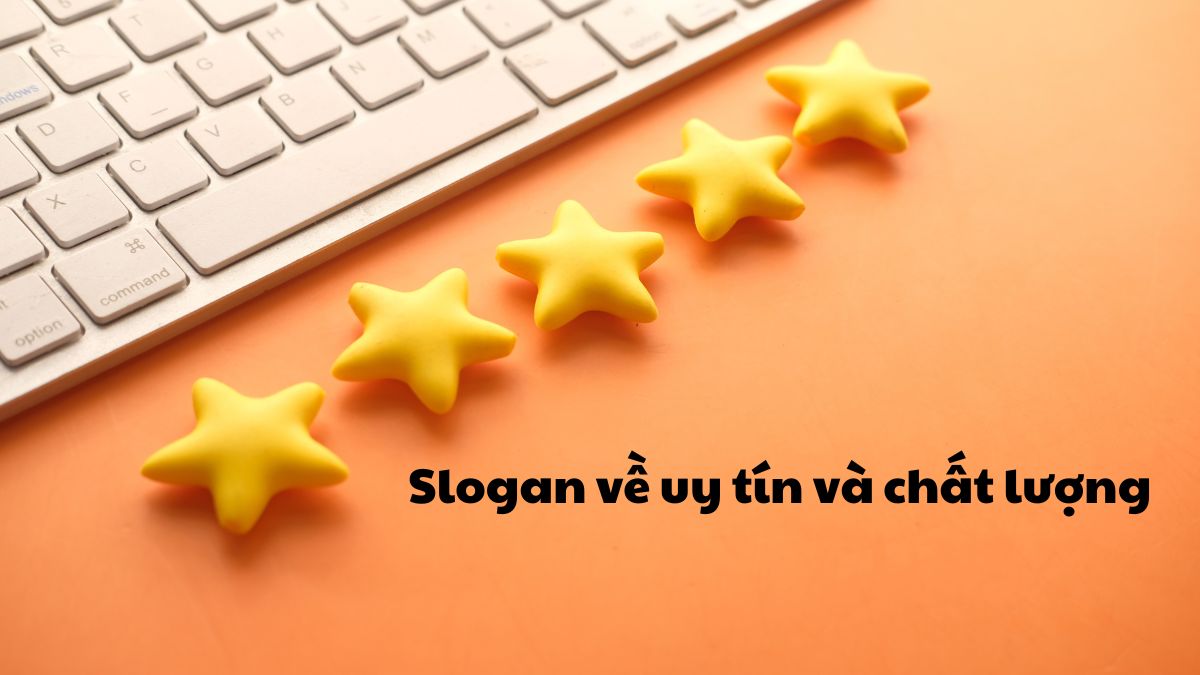 Uy tín và chất lượng: Nền tảng vững chắc cho sự thành công Gallery 1