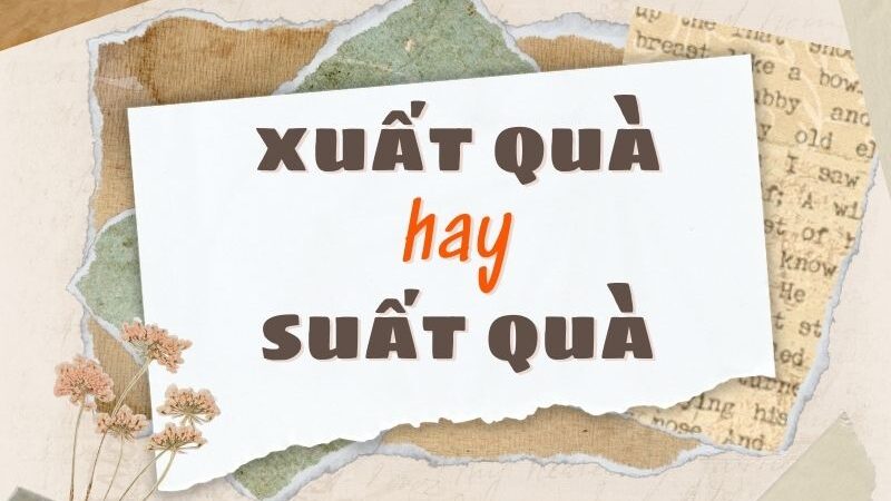 Suất Quà Hay Xuất Quà? Gallery 2