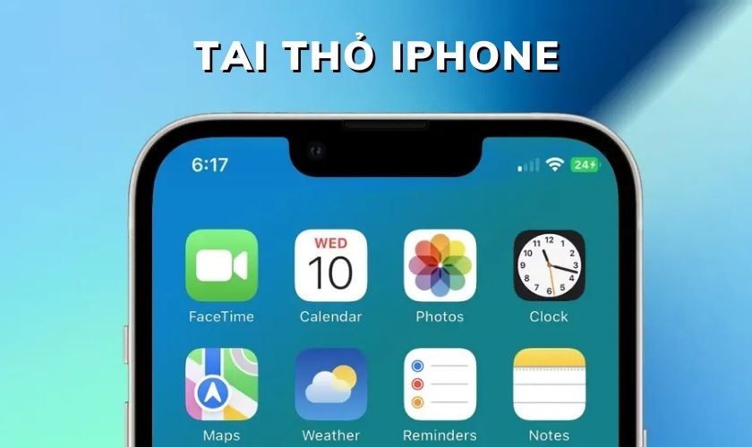 Tai Thỏ Là Gì?