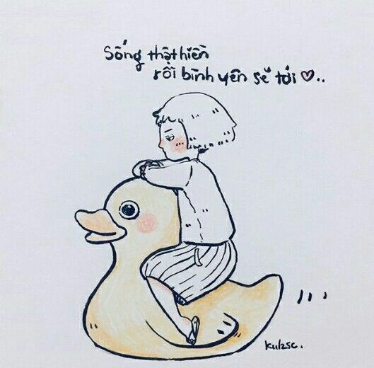 Tâm Bất Biến Giữa Dòng Đời Vạn Biến: Meme và Triết Lý Sống
