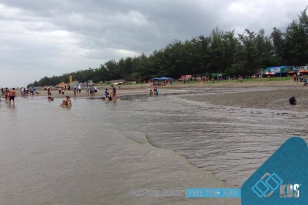 Tắm Biển Cần Giờ: Hướng Dẫn Du Lịch & Kinh Nghiệm Tuyệt Vời
