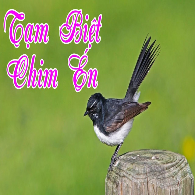 Tạm Biệt Chim Én