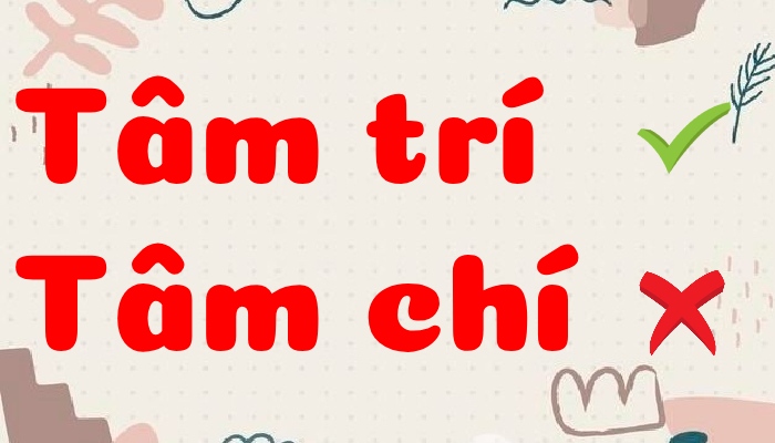 Tâm Chí Hay Tâm Trí? Sự Khác Biệt Và Cách Sử Dụng