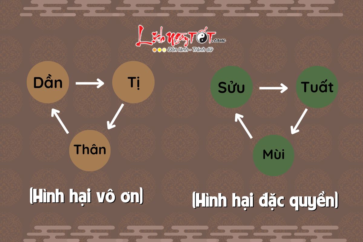 Tam Hình Là Gì? Gallery 2