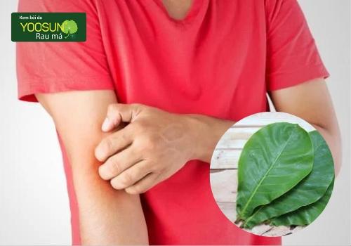 Tắm lá bàng có tác dụng gì?