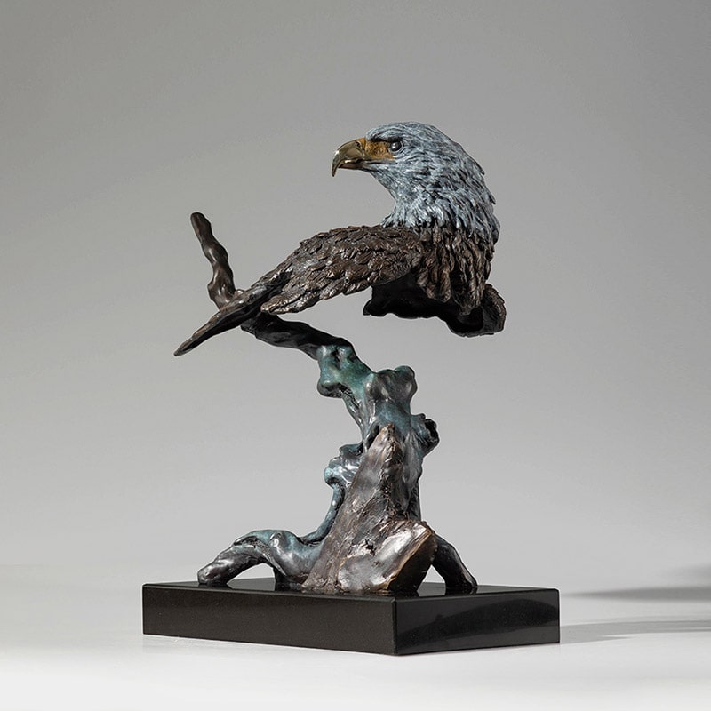 Ý Nghĩa Đại Bàng Tung Cánh Gallery 2