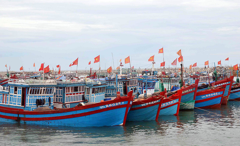 Biển: Vẻ đẹp mê hoặc và tầm quan trọng đối với sự sống Gallery 2