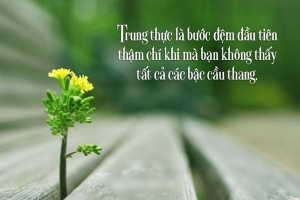 Thật Thà Là Gì? Gallery 2