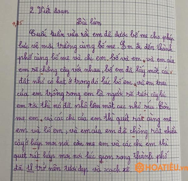 Bài Văn Về Bảo Vệ Môi Trường Lớp 4 Gallery 1