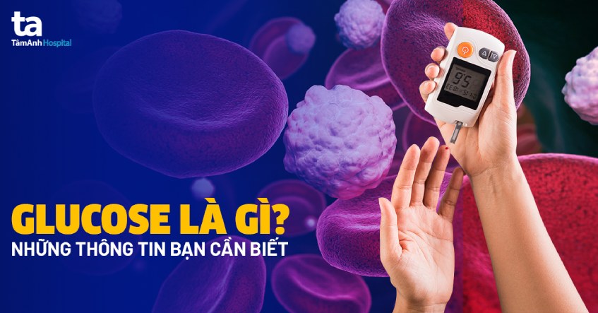 Glucose Máu Là Gì? Gallery 1