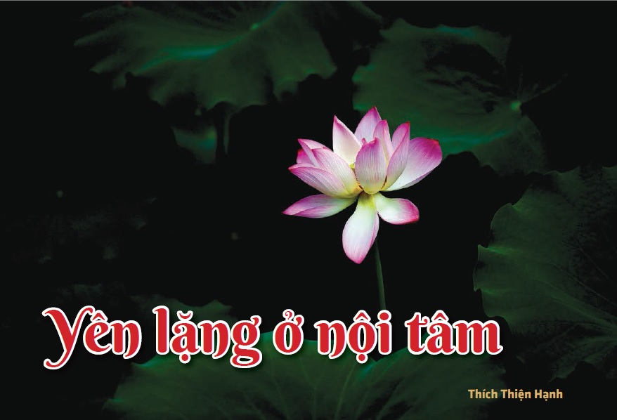 Yên lặng là gì? Gallery 2