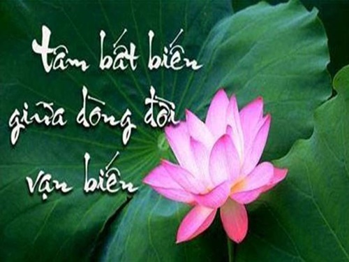 Tâm Tĩnh Lặng Giữa Dòng Đời Vạn Biến