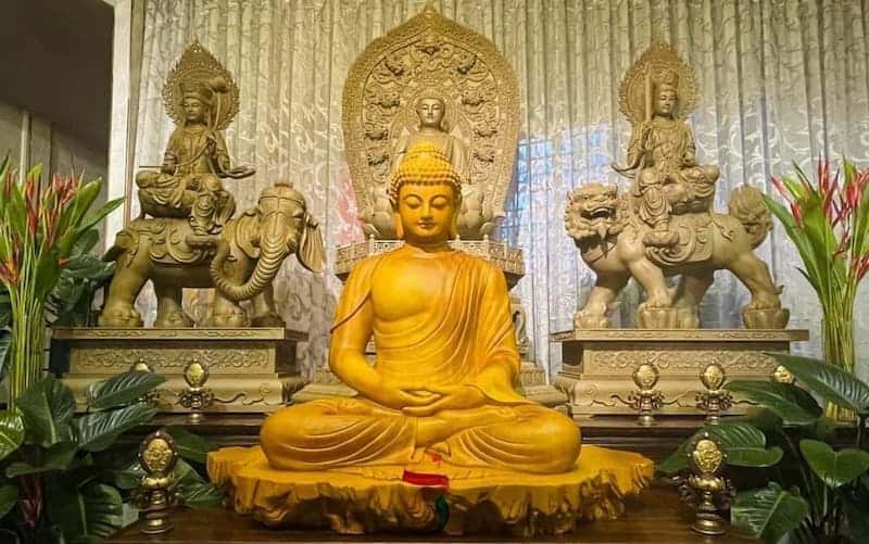 Tam Tịnh Nhục Nghĩa Là Gì?