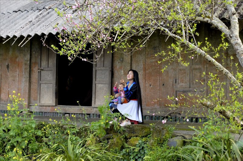 Mưa Xuân của Nguyễn Bính - Phân tích chi tiết và ý nghĩa Gallery 2