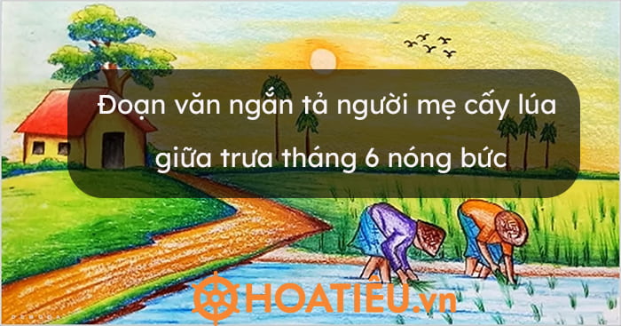 Tả mẹ đang cấy lúa Gallery 2