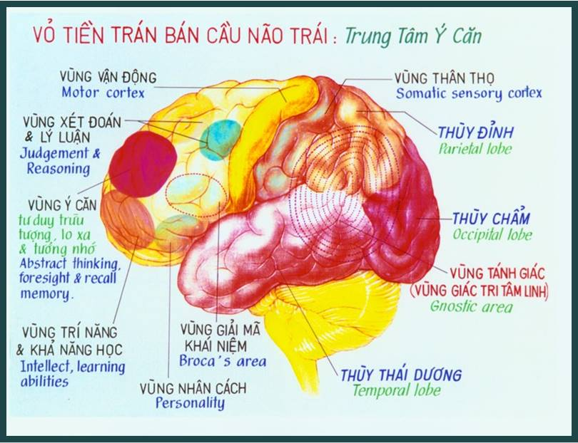 Tâm Là Gì Và Ở Đâu? Gallery 1