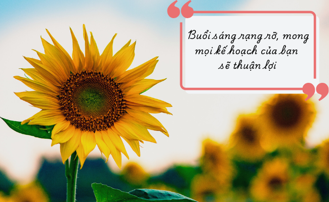 Kinh nghiệm Ta Buổi Sáng Gallery 2