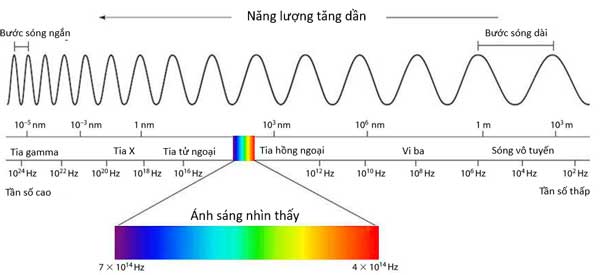 Tần số sóng là gì?