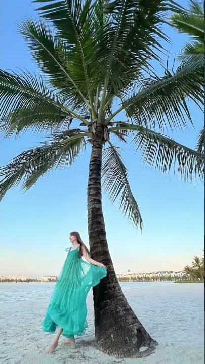 Tạo Dáng Với Cây Dừa: Bí Quyết Cho Bộ Ảnh Độc Đáo