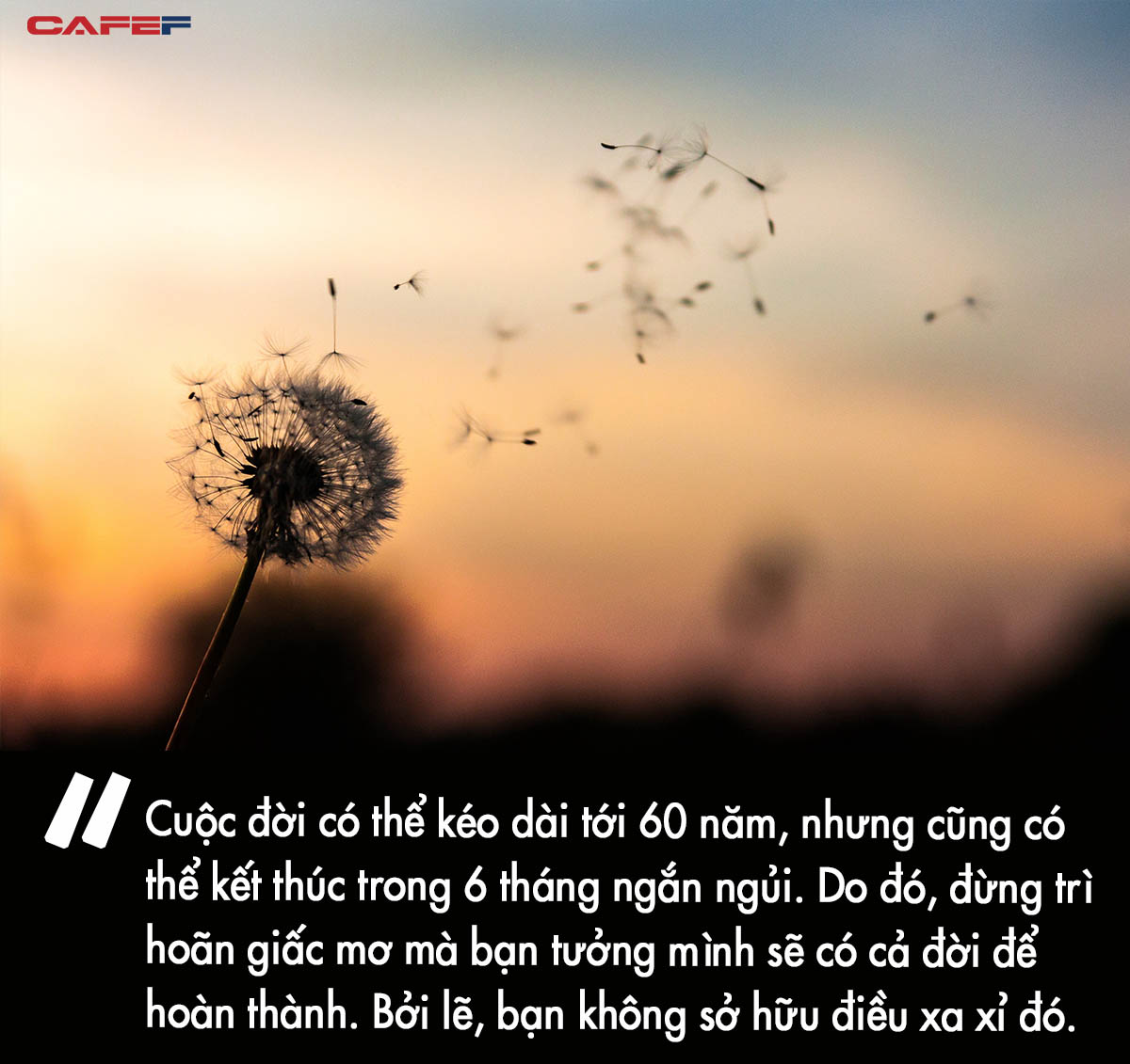 Đời người không quá ngắn thế nhưng cũng chẳng dài Gallery 2
