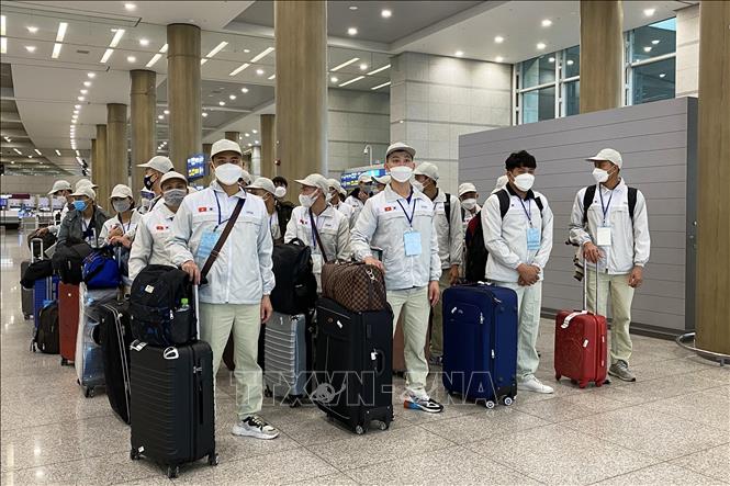 Xuất khẩu lao động có ý nghĩa như thế nào trong giải quyết vấn đề việc làm ở nước ta? Gallery 1