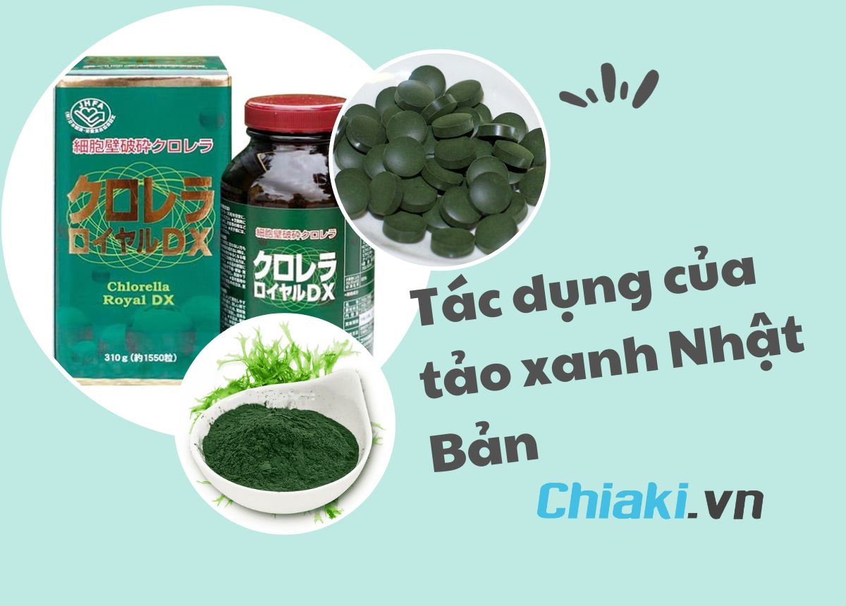 Tảo Xanh Nhật Bản Có Tác Dụng Gì?