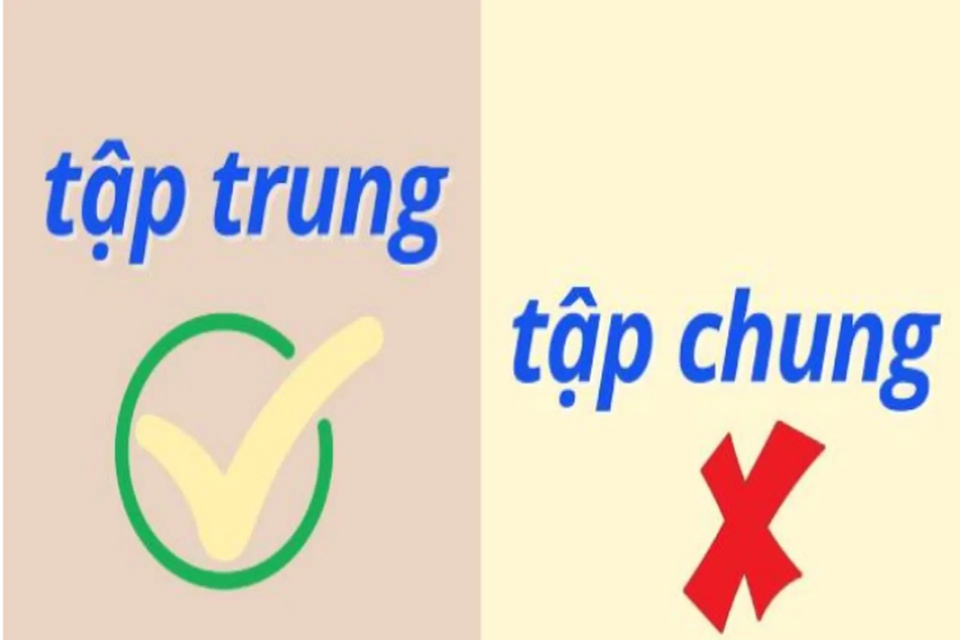 Tập Chung và Tập Trung: Sự Khác Biệt và Kỹ Thuật Cải Thiện