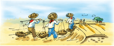 Hạt gạo làng ta - Tập đọc lớp 5: Phân tích chi tiết và ý nghĩa