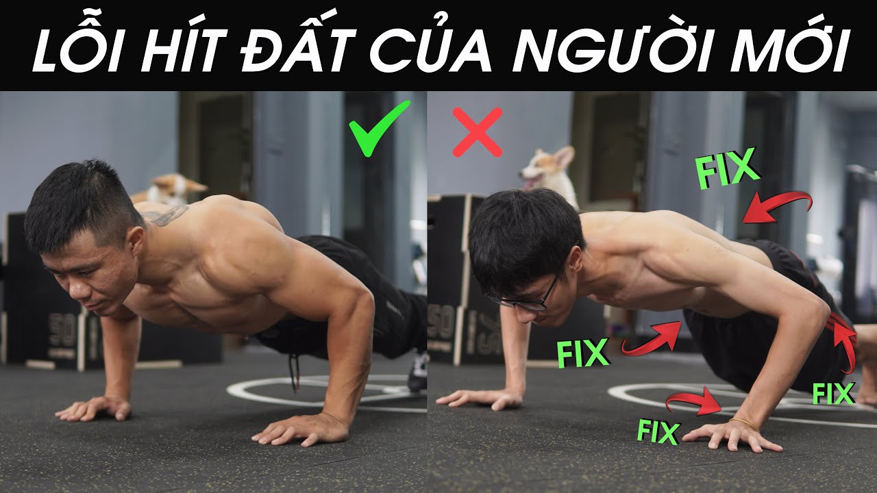 Tập Hít Đất Đúng Cách