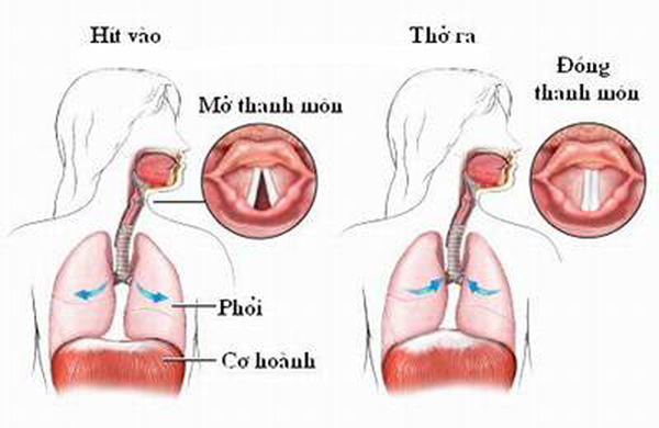 Cách Luyện Giọng Nói Trầm Ấm Gallery 2