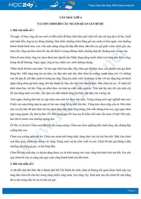 Bài Văn Tả Con Bồ Câu Lớp 4 Gallery 2