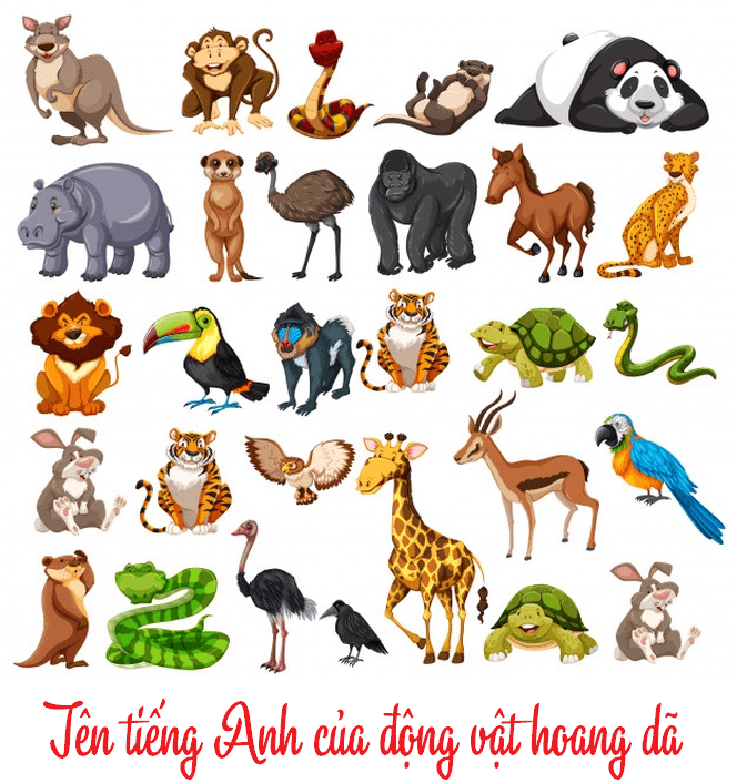 Thế Giới Động Vật: Khám Phá Sự Đa Dạng Của Sinh Vật Trên Trái Đất
