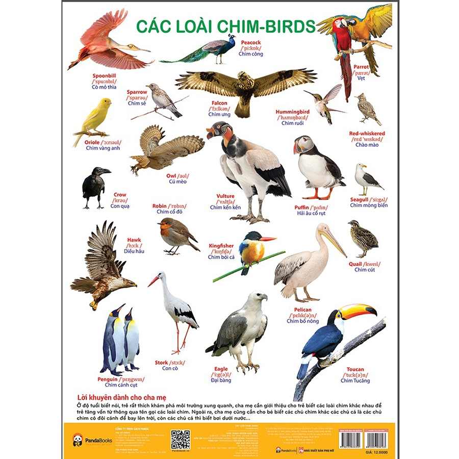 Tất Cả Các Loại Chim Trên Thế Giới Gallery 2