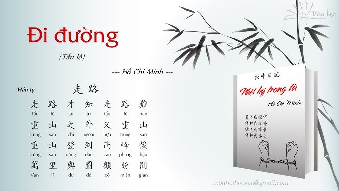 Tẩu Lộ là gì? Tìm hiểu chi tiết về Tẩu Lộ