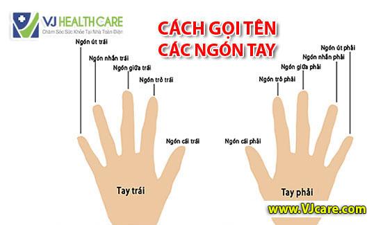 Tay Nào Là Tay Trái?