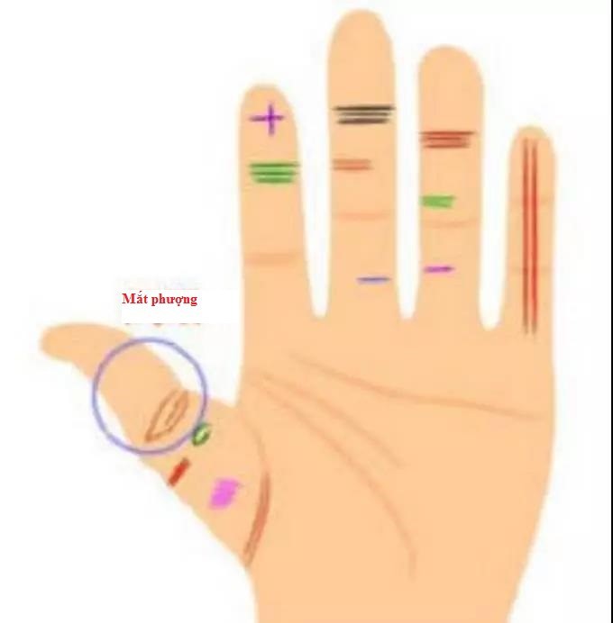 Tay Trái Nắm Tay Phải: Ý Nghĩa và Biểu Tượng