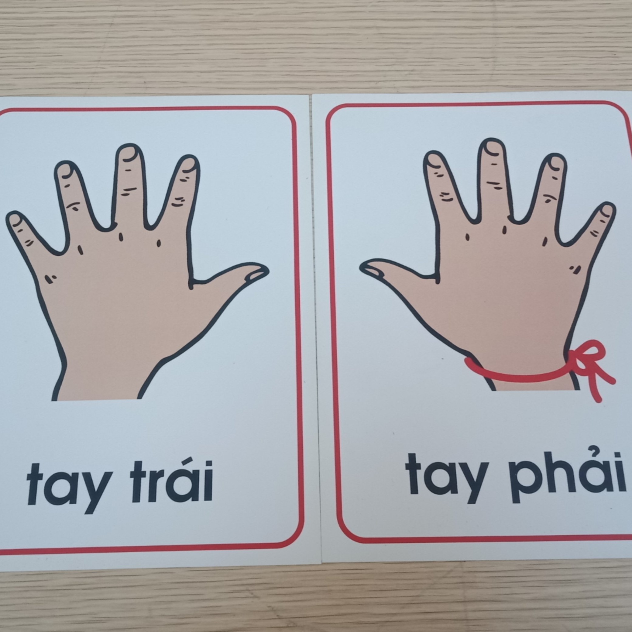 Tay Trái Tay Phải: Sự Khác Biệt, Nguyên Nhân Và Những Điều Thú Vị