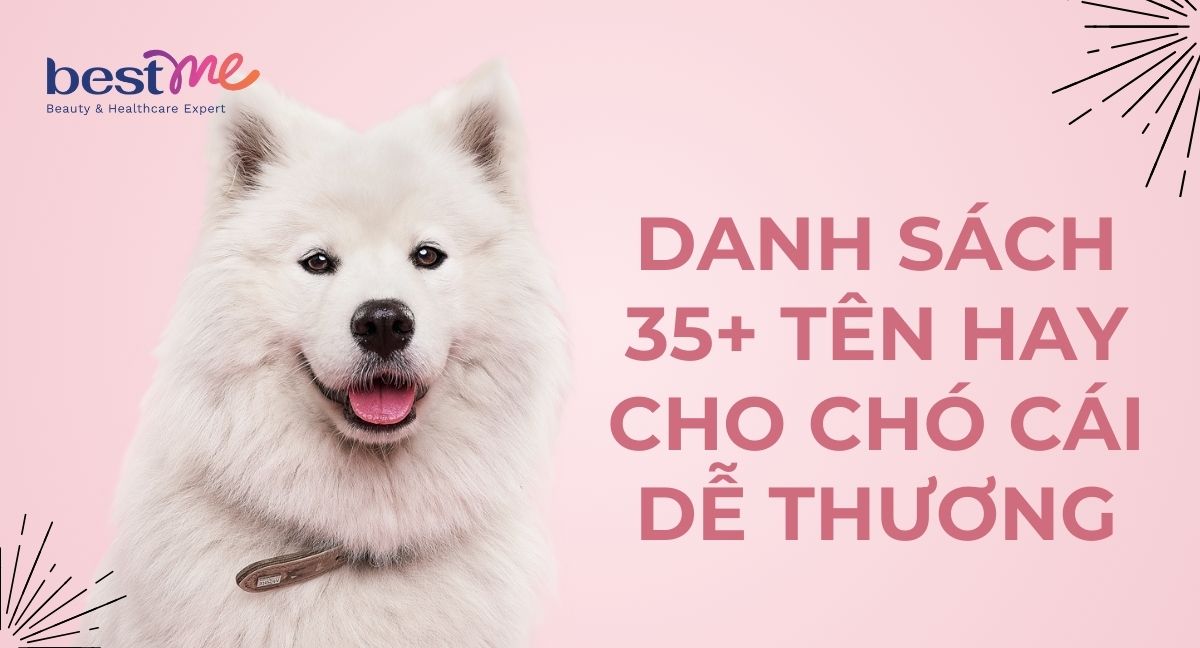 Tên Chó Cái Dễ Thương Gallery 1