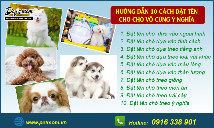 Tên Chó Đực Hay Gallery 2