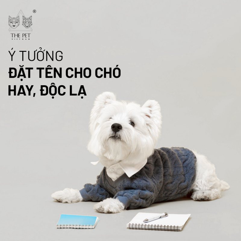 Tên Chó Đực Hay Gallery 1