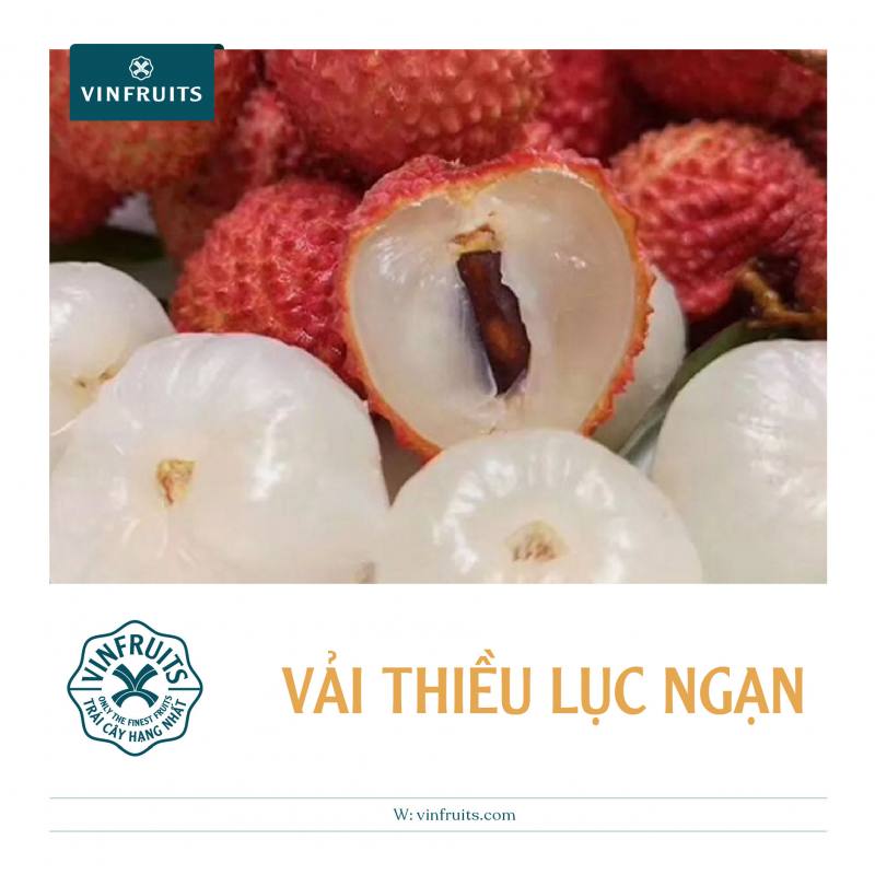Quả vải có tên gọi khác là gì? Gallery 1